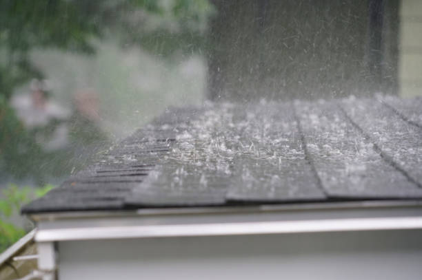 Best Asphalt Shingles Roofing  in Keaau, HI