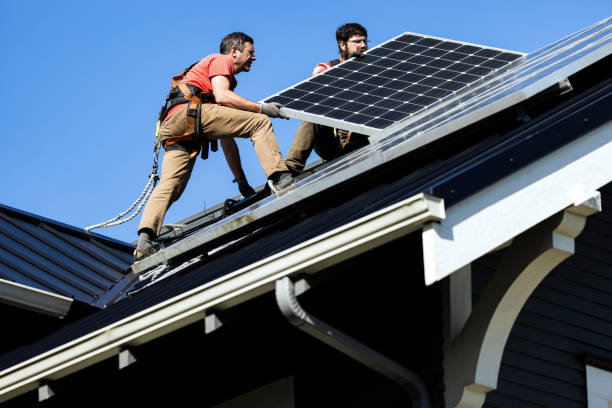 Best Asphalt Shingle Roofing  in Keaau, HI